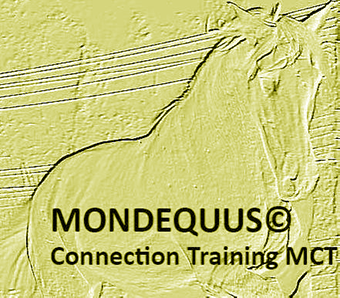 logo.web.moondequus